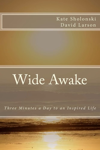 Wide Awake Three Minutes a Day to an Inspired Life