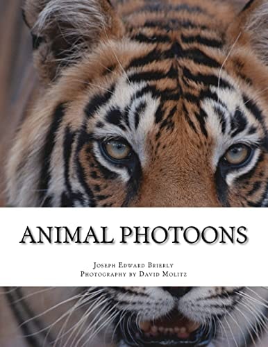 Animal Photoons Photoons Are Sort Of Like Cartoons