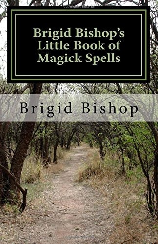 Brigid Bishop's Little Book of Magick Spells 21st Century Magick