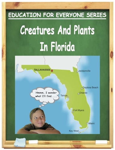 Creatures And Plants In Florida Education For Everyone Series