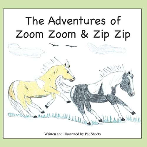 The Adventures of Zoom Zoom and Zip Zip