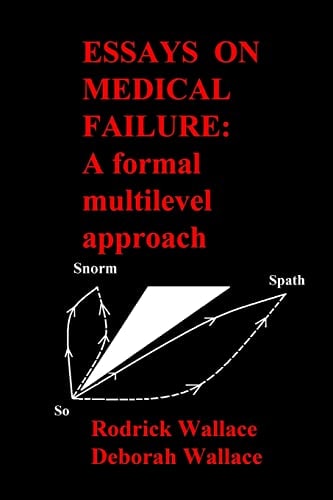 Essays on Medical Failure A Formal Multilevel Approach