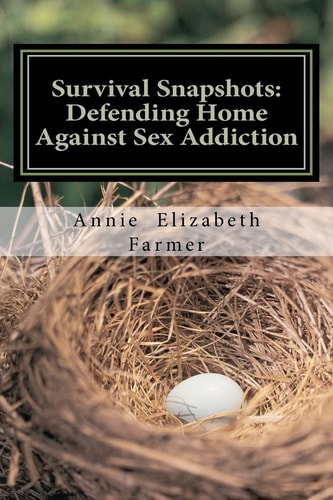 Survival Snapshots Defending Home Against Sex Addiction