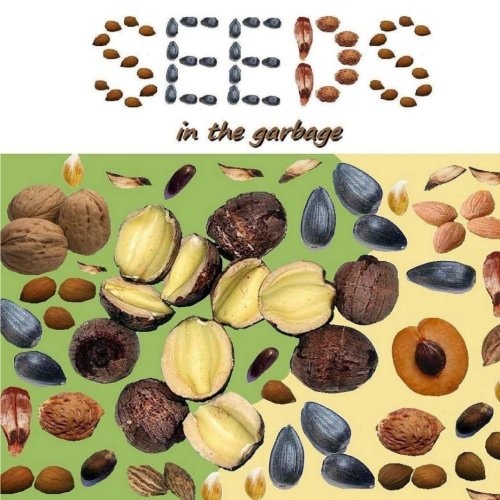 Seeds in the Garbage