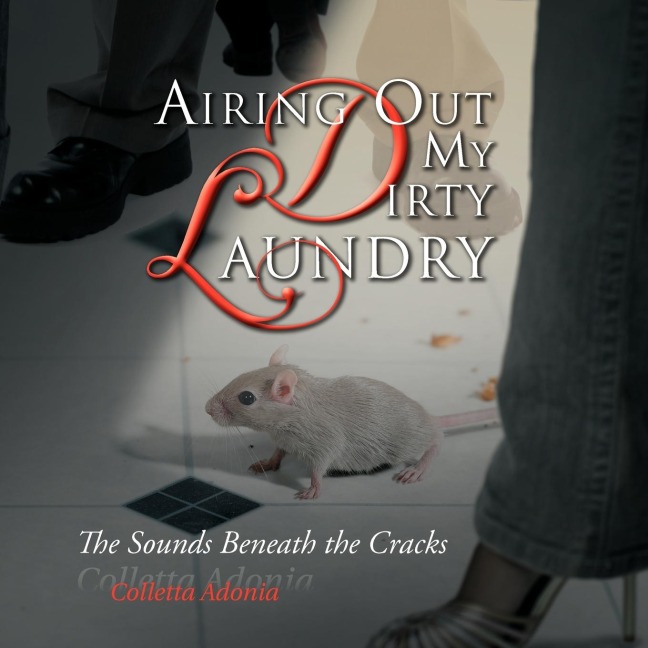 Airing Out My Dirty Laundry: The Sounds Beneath the Cracks