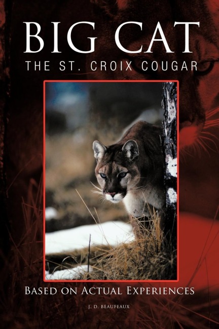 BIG CAT: The St. Croix Cougar