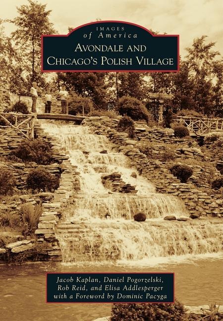 Avondale and Chicagos Polish Village