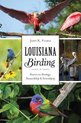 Louisiana Birding: Stories on Strategy, Stewardship & Serendipity