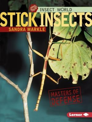 Stick Insects: Masters of Defense