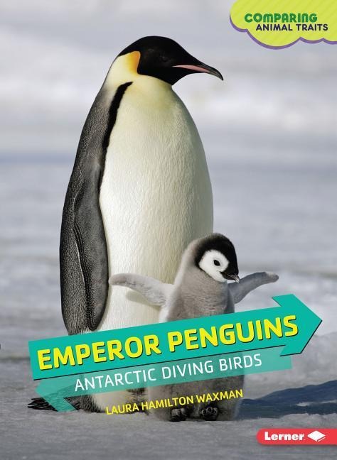 Emperor Penguins: Antarctic Diving Birds