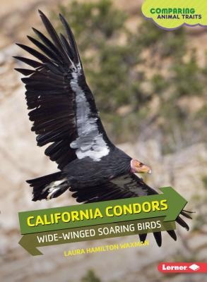 California Condors: Wide-Winged Soaring Birds