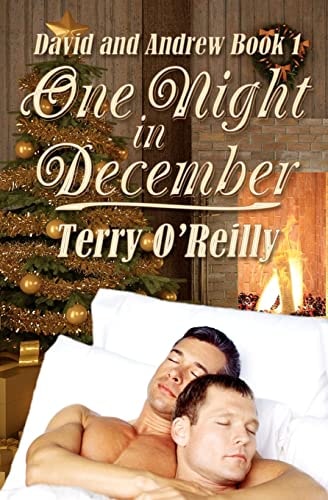 David and Andrew Book 1 One Night in December