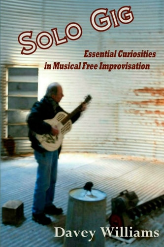Solo Gig Essential Curiosities in Musical Free Improvisation