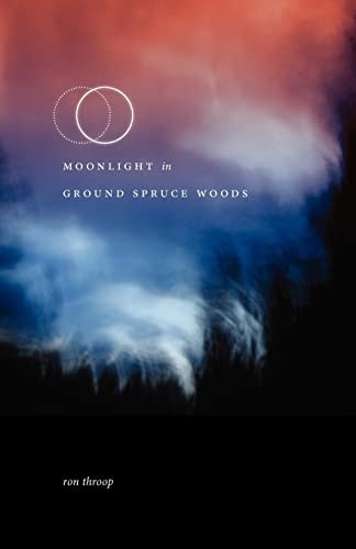 Moonlight in Ground Spruce Woods