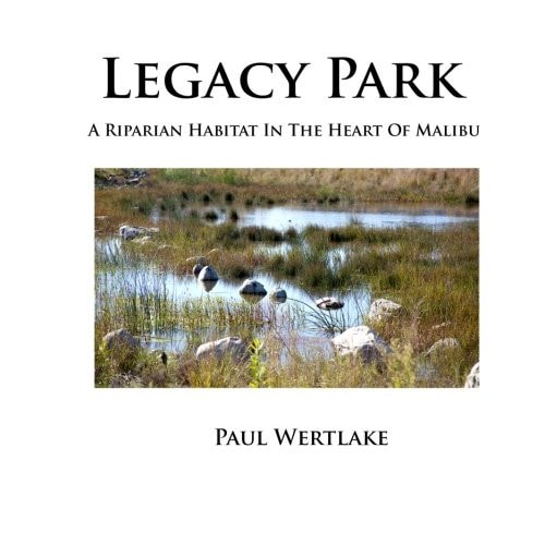 Legacy Park A Riparian Habitat In The Heart Of Malibu
