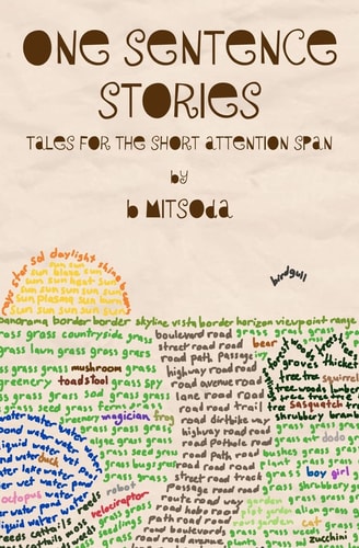 One Sentence Stories Tales for the Short Attention Span