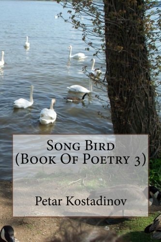 Song Bird (Book Of Poetry 3)