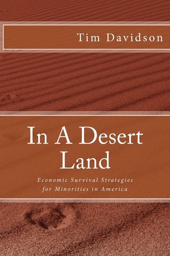 In a Desert Land Economic Survival Strategies for Minorities in America