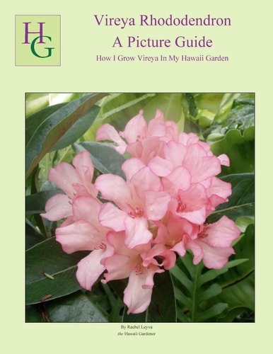 Vireya Rhododendron A Picture Guide : how I Grow Vireya in My Hawaii Garden