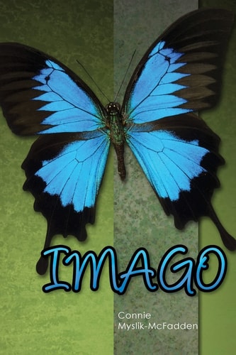 Imago