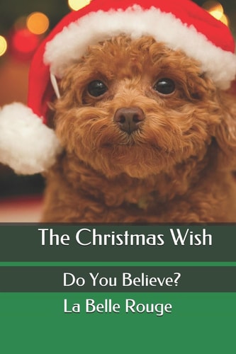 The Christmas Wish Do You Believe?