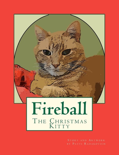 Fireball The Christmas Kitty
