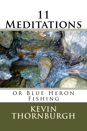 11 Meditations Or Blue Heron Fishing