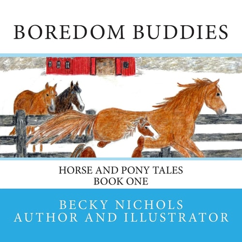 Boredom Buddies Horse and Pony Tales Book One