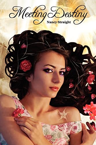Meeting Destiny Destiny Series, Book 1