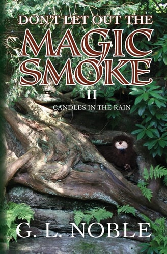 Don't Let Out The Magic Smoke II. Candles In The Rain