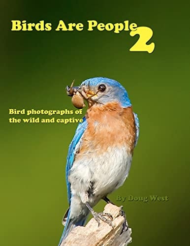 Birds are People 2