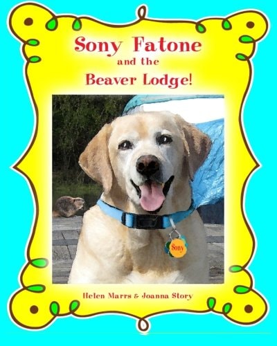 Sony Fatone and the Beaver Lodge