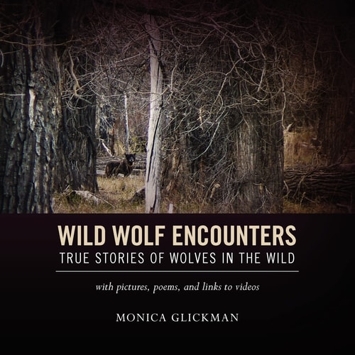 Wild Wolf Encounters True Stories of Wolves in the Wild with Pictures, Poems, and Links to Videos