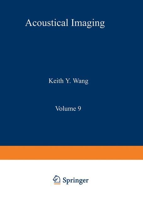 Acoustical Imaging: Visualization and Characterization