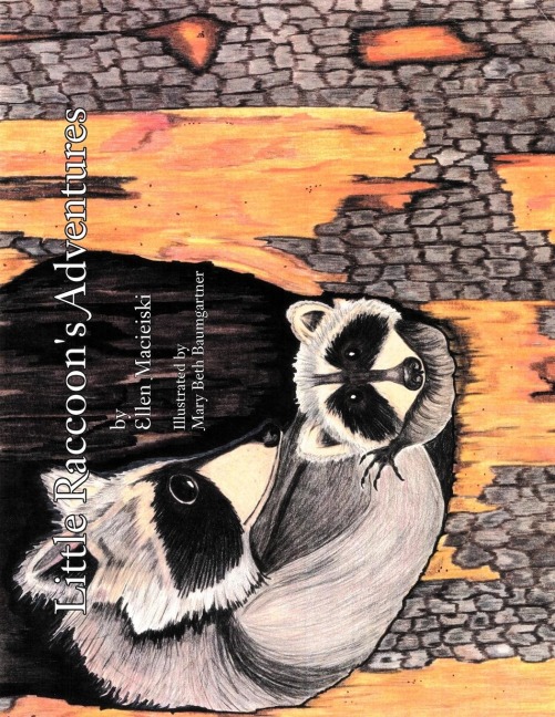Little Raccoons Adventures