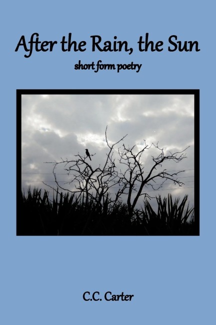 After the Rain, the Sun: short form poetry