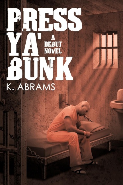 Press YA Bunk: A Debut Novel