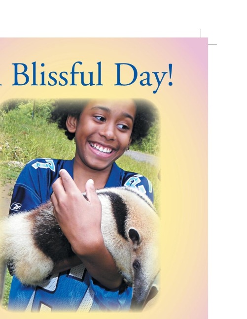 A Blissful Day!