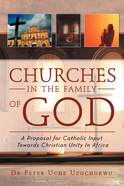 Churches in the Family of God: A Proposal for Catholic Input Towards Christian Unity In Africa