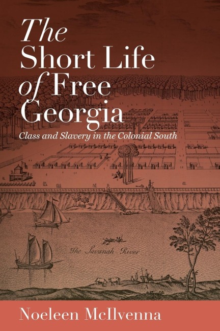 The Short Life of Free Georgia: Class and Slavery in the Colonial South