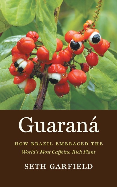 Guaraná: How Brazil Embraced the Worlds Most Caffeine-Rich Plant