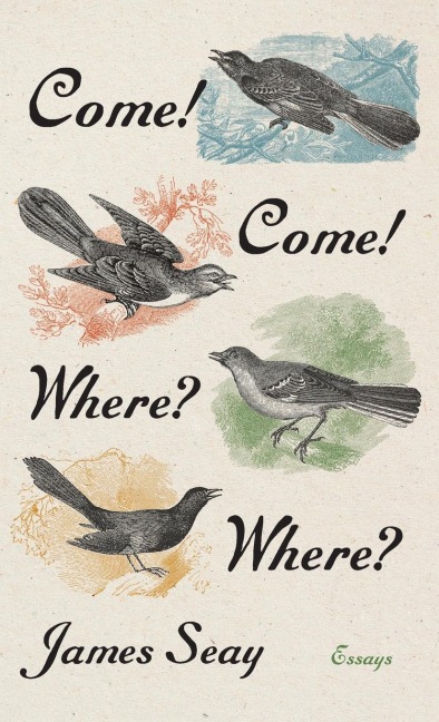 Come! Come! Where? Where?: Essays