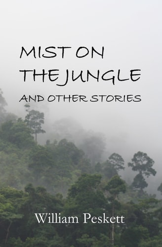 Mist on the Jungle