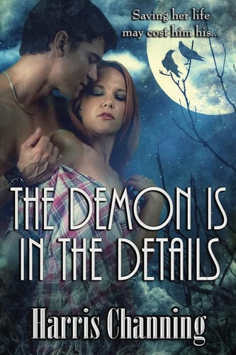 The Demon Is in the Details Immortal Protector