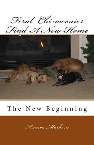 Feral Chi-Weenies Find a New Home The New Beginning
