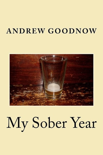 My Sober Year