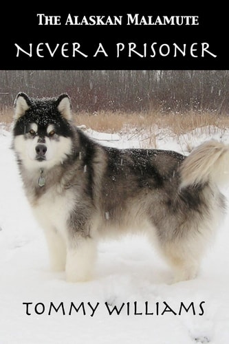 The Alaskan Malamute Never a Prisoner