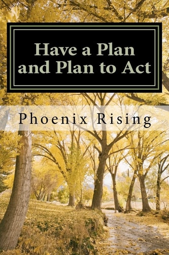 Have a Plan and Plan to Act A Guide to Successful, Victorious Living, in Tumultuous Times