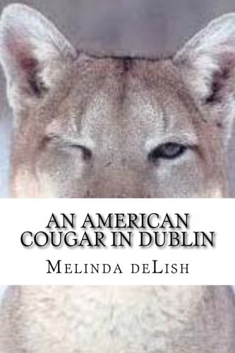 An American Cougar in Dublin The Chronicles of a Baby Boomer Internet Dater