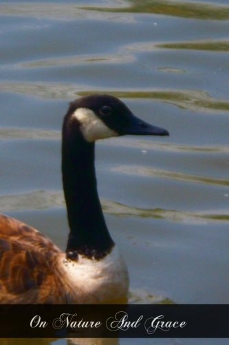 On Nature And Grace A Theological Treatise